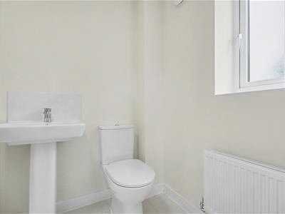 Picture 24
